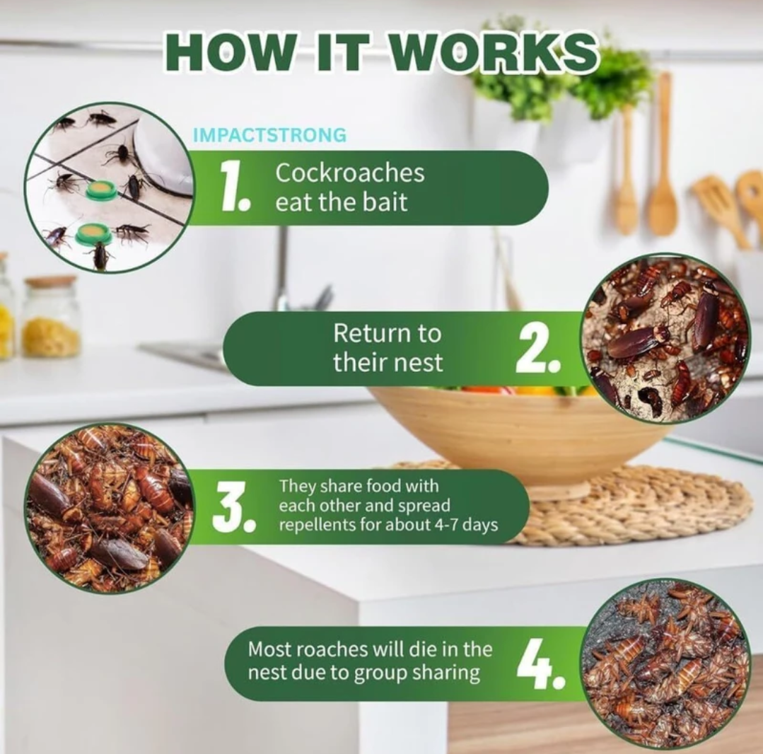 ( Buy 1 Get 1 Free ) Cockroach Killer Gel