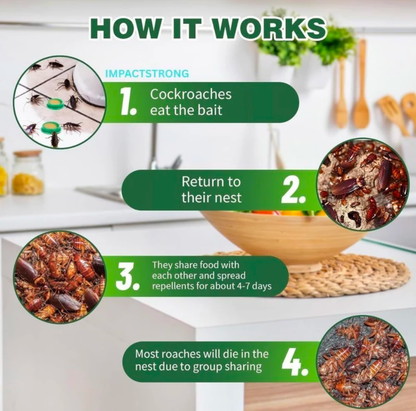 ( Buy 1 Get 1 Free ) Cockroach Killer Gel